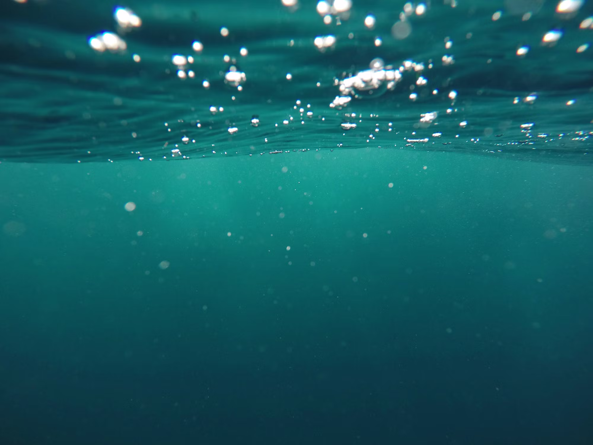 Discovering the Depths: A Journey Through the World of Diving
